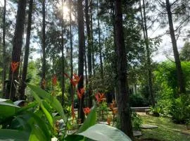 Suoi Rao Ecolodge & Healing Retreat