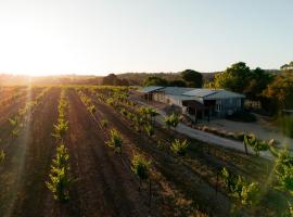 Bed in a Shed Vineyard Stay，位于Watervale的酒店