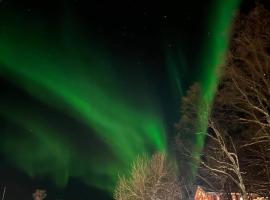 Nyjords Cabin，位于T&aring;rnet的木屋