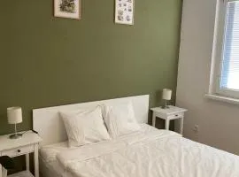 Cozy, bright room with free parking