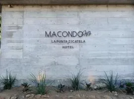 Macondo Arte Punta Zicatela