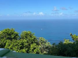 The North Look Out，位于Tortola Island的公寓