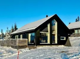 Cozy cabin on Sjusjølia by the trail network sauna