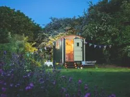 Elderflower Hut