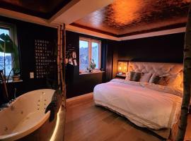 Private Loft with Rooftop & Jacuzzi in City Center，位于杜塞尔多夫的酒店