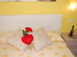 伊尔萨利切住宿加早餐旅馆