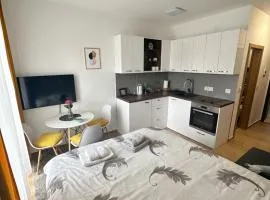 Apartman Krčmar Divcibare