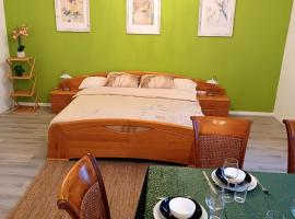 2 room's Family Apartments Mürzzuschlag，位于米尔茨楚施拉格的酒店