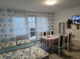 Mieszkanie przy parku