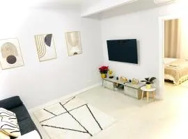 Céntrico estudio en Av Solidaridad