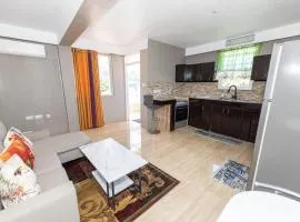 Roseau Canefield Apartment with Full Kitchen Air Conditioning and Wi-Fi Close to town