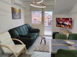 Sokobanja Apartmani，位于索科矿泉村的酒店