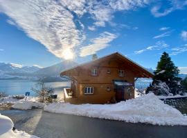 CHALET EGGLEN "Typical Swiss House, Best Views, Private Jacuzzi"，位于锡格里斯维尔的木屋