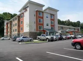 匹兹堡门罗维尔/威尔金斯原住客栈