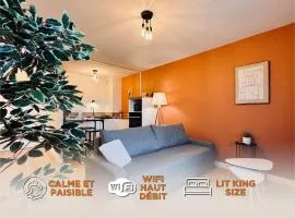 Appartement Graulhet le nid de carivel