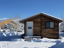 Cozy Cabin escape in the Tetons，位于德里格斯的酒店