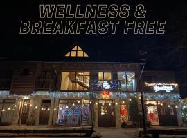 Holiday's Chalet Jasná，位于迪马诺卡多林纳的酒店