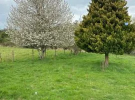 Campo, tranquilidad, relax y buenos paisajes