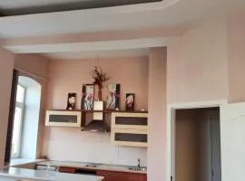 Cozy apartment in the middle of the city!