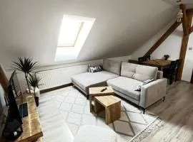 Apartmán Anežka, u Ostravar Arény