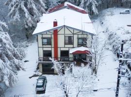 Lodge Myoko，位于Akakura的酒店