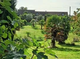 Maison au calme avec jardin exotique pour 7 personnes