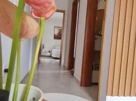 A JÓIA de Itapoá a Passos da Praia