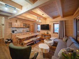 Apartamenty Kozica&Jeleń，位于维托韦的酒店