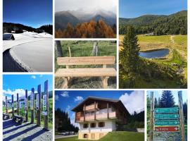 Apartment Alpenstille Flattnitz，位于Flattnitz的酒店