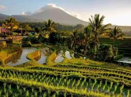 Dedari Lodge Jatiluwih Rice fields