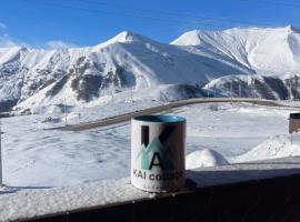 Chalet Gudauri，位于古多里的酒店