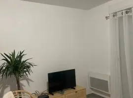 Appartement moderne et spacieux avec terrasse privée 1
