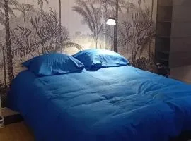 Grande Chambre2 Lumineuse, Agréable, Confortable et Fonctionnelle