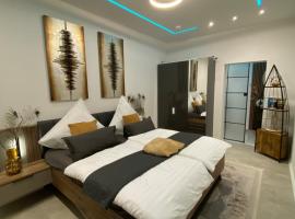 City Deluxe Apartment，位于汉诺威的宠物友好酒店