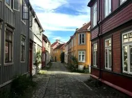 Liten studioleilighet meget sentralt i sentrum, 3 minutter fra torget