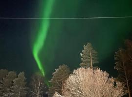 Napapiirin Er&auml;kartano，位于佩洛的住宿