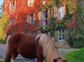 Le moulin de vaux，位于Nochizé的酒店