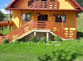 Cabana Diana Dealul Frumos