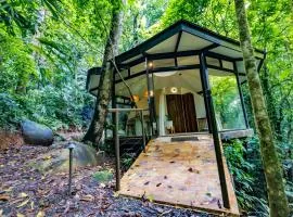 The Nest Unique Jungle Retreat