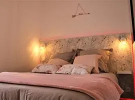 Le Flamingo - Wifi - 400m centre Pontivy