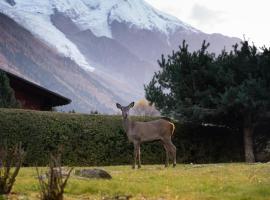 Chalet la Pagode, vue Mont-Blanc et jardin privé，位于夏蒙尼-勃朗峰的木屋