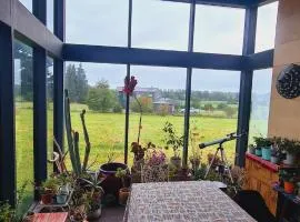 Casa de campo con vista a volcanes 1 gato dentro de la casa y 1 perro y 1 gato dentro de la parcela, todos mansos