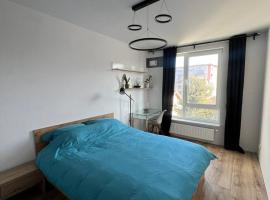 Loft Apartment，位于克拉科夫的酒店