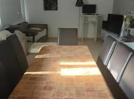 Los espinillos