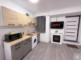 RentHouse Apartments-Old Town Studio #1