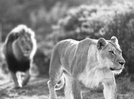 Garden Route Safari Camp