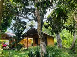 Brown Cabana Tangalle