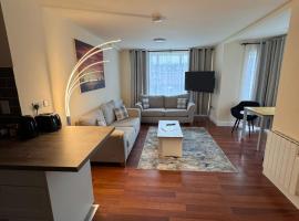 Washington Street Penthouse Apartment，位于科克的酒店