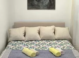 Planinska kuća Vladanka - planina Goč - banjska strana - preko puta ski staze