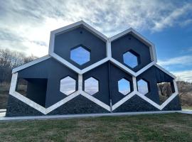 ProPolis，位于Mioarele的酒店